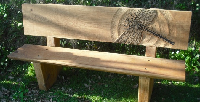 Rosemoor Nature Reserve South West Wales - dragonfly bench
