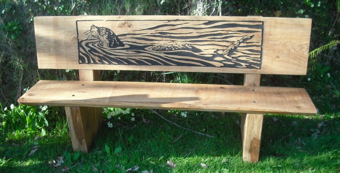 Rosemoor Nature Reserve South West Wales - otter bench