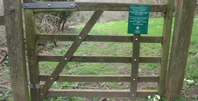 Gate to the meadow in the Rosemoor Nature Reserve - Pembrokeshire West Wales