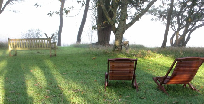 Lazy chairs on the lawn Rosemoor Country Cottages and Nature reserve South Wales, , luxury holiday cottages in pembrokeshire, dog friendly cottages west wales