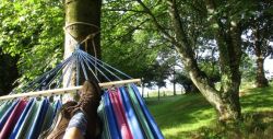 Views from the hammock: July 2017