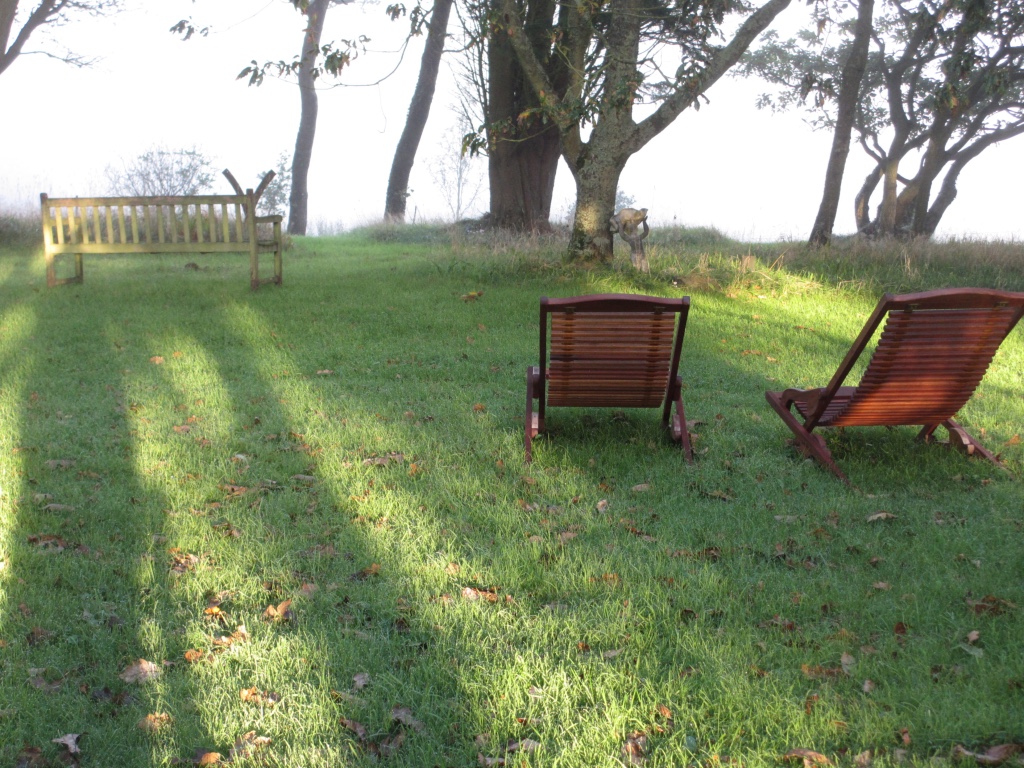 Premises & surrounds - 2 recliner chairs on the grass