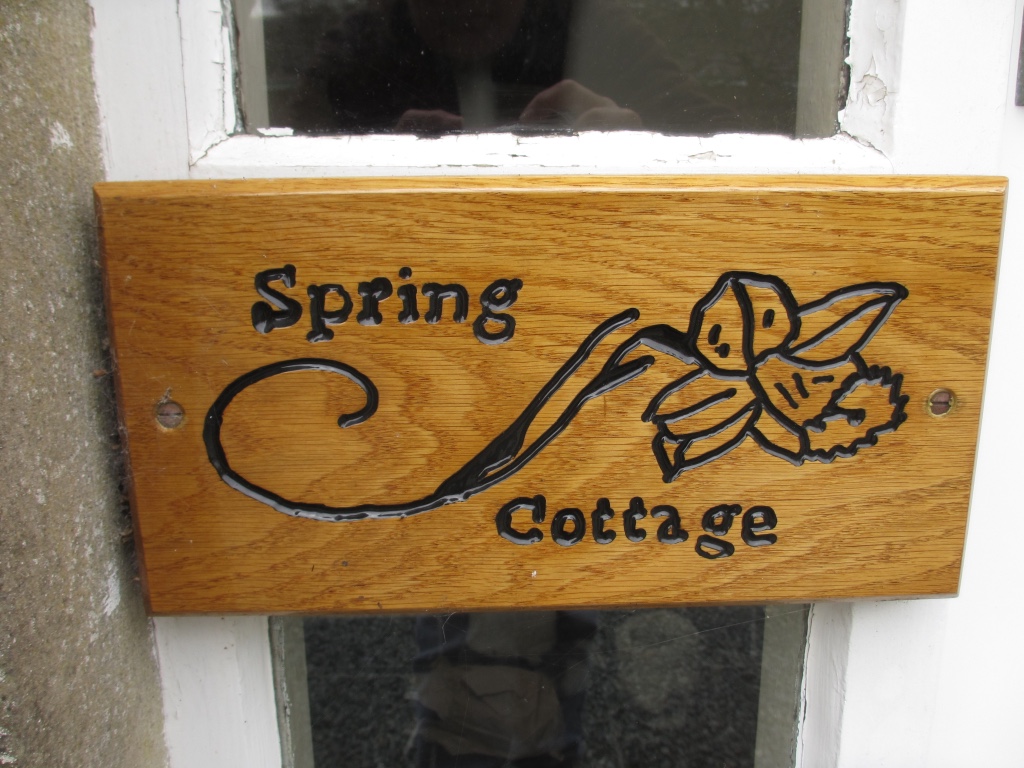 Spring Cottage plaque, wooden sign. With the words Spring Cottage in black and a black outline drawing of a flower / daffodil